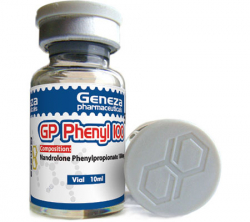 Phenyl100mg/10ml 1vial