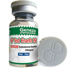 Test Enanth250 mg/10 ml